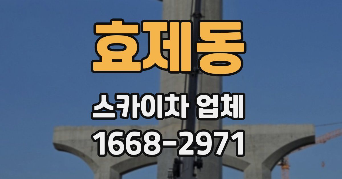 효제동 스카이차 업체