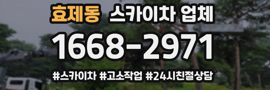 효제동 스카이차 업체