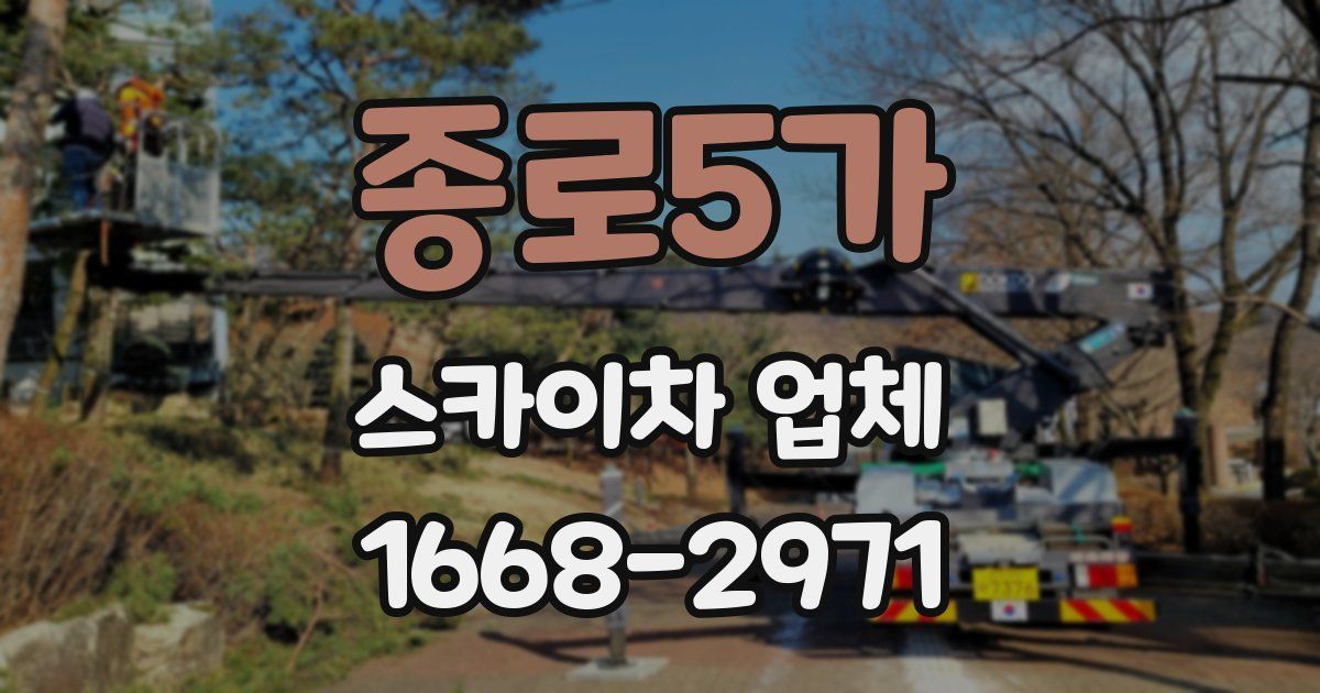종로5가 스카이차 업체