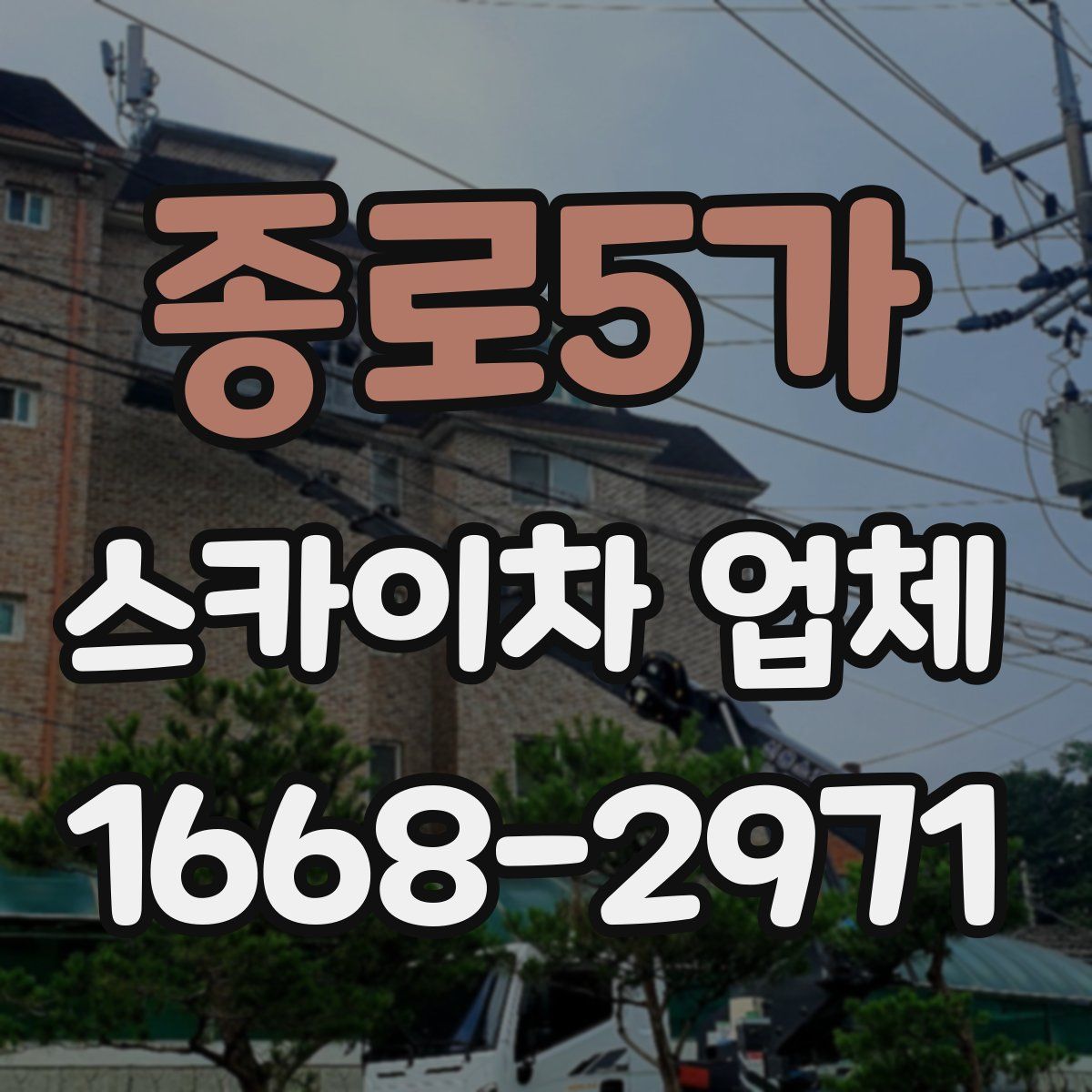 종로5가 스카이차 업체
