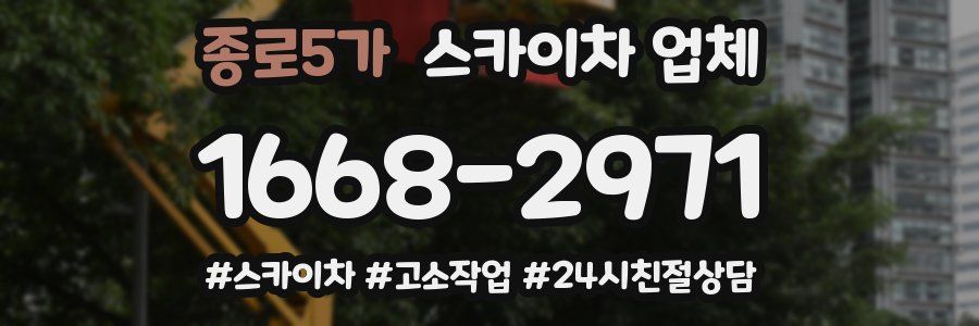 종로5가 스카이차 업체