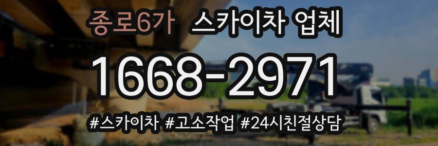 종로6가 스카이차 업체