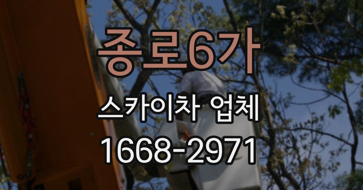 종로6가 스카이차 업체