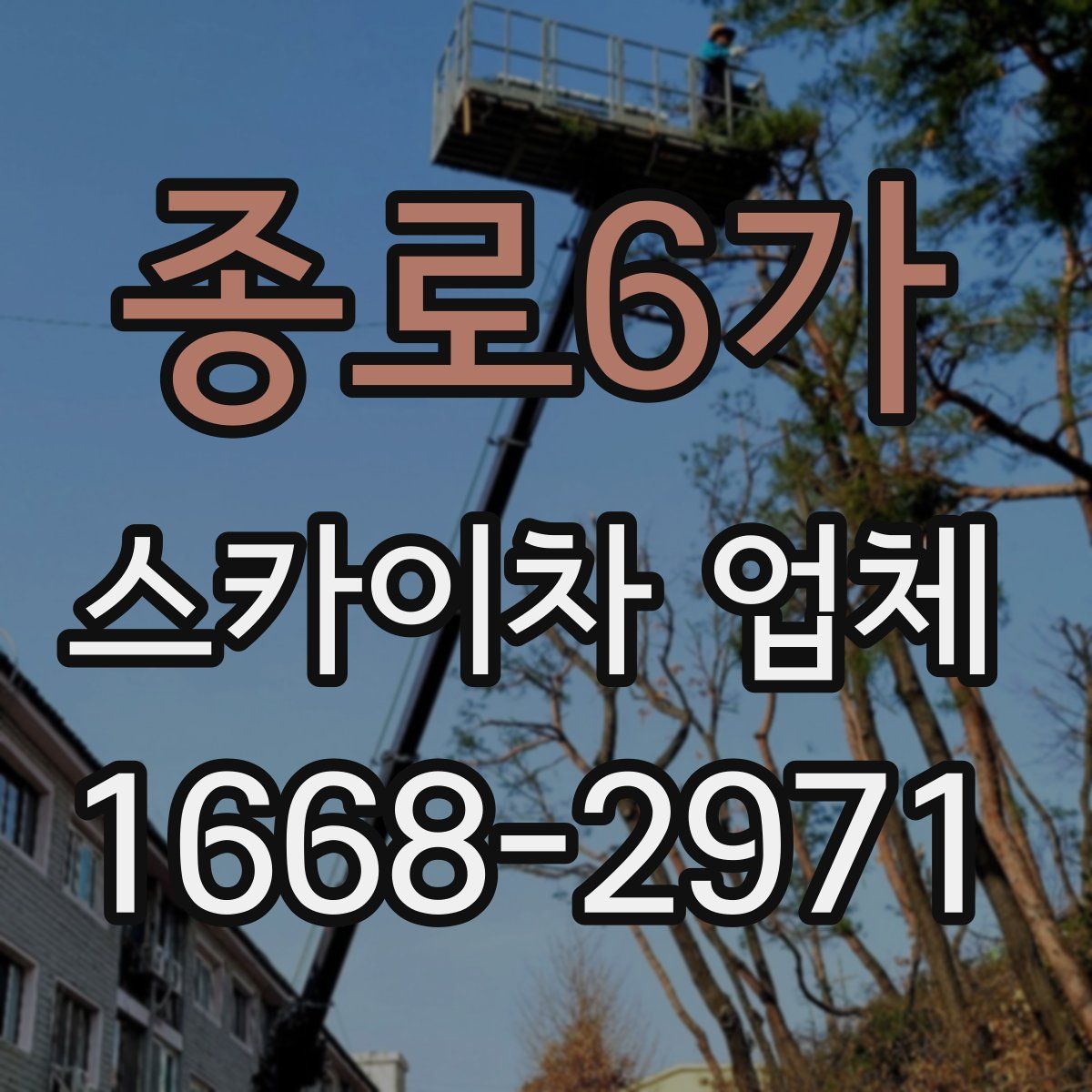 종로6가 스카이차 업체