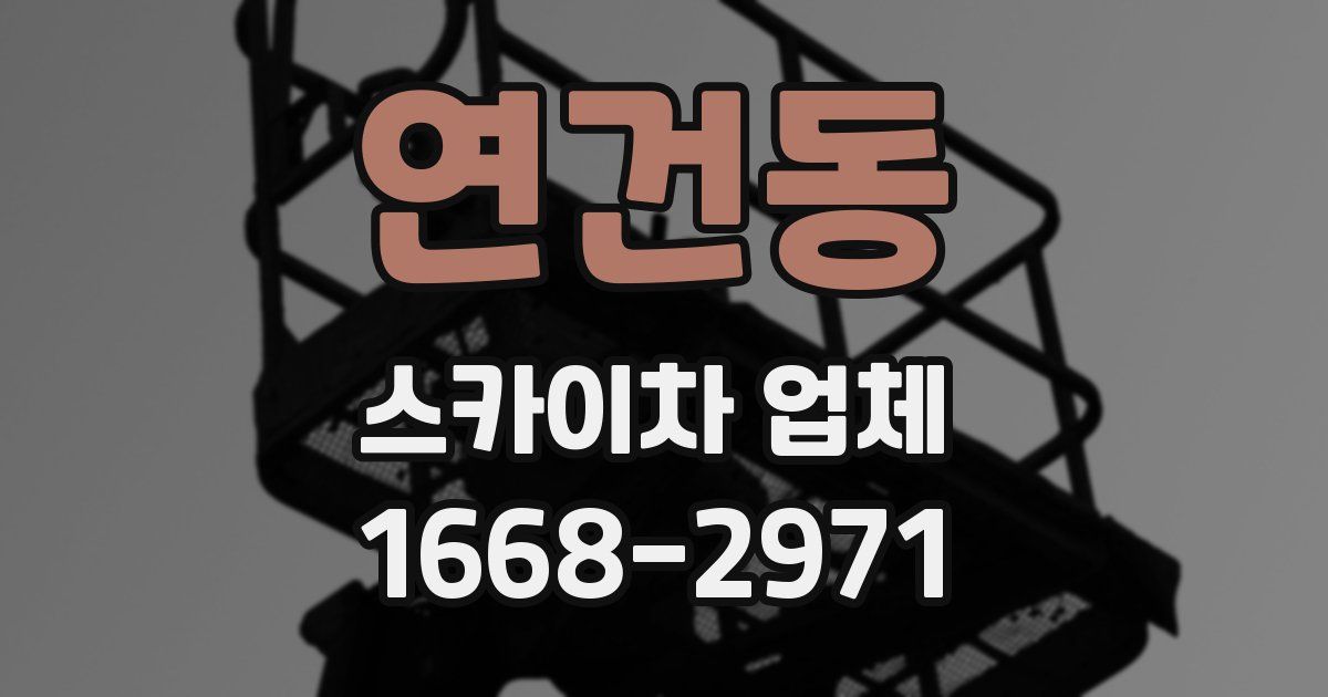 연건동 스카이차 업체