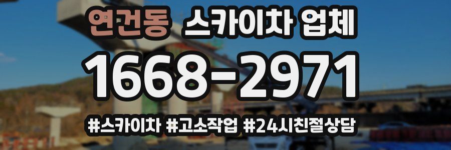 연건동 스카이차 업체