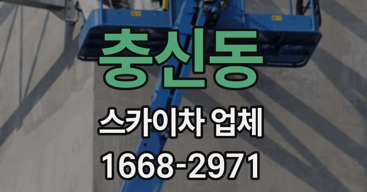 충신동 스카이차 업체