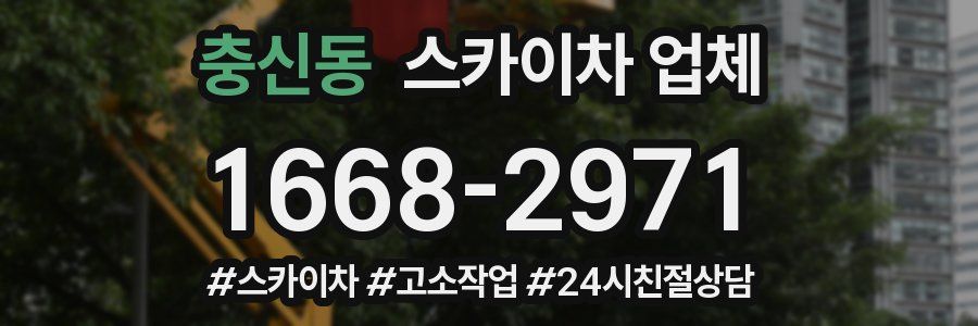 충신동 스카이차 업체