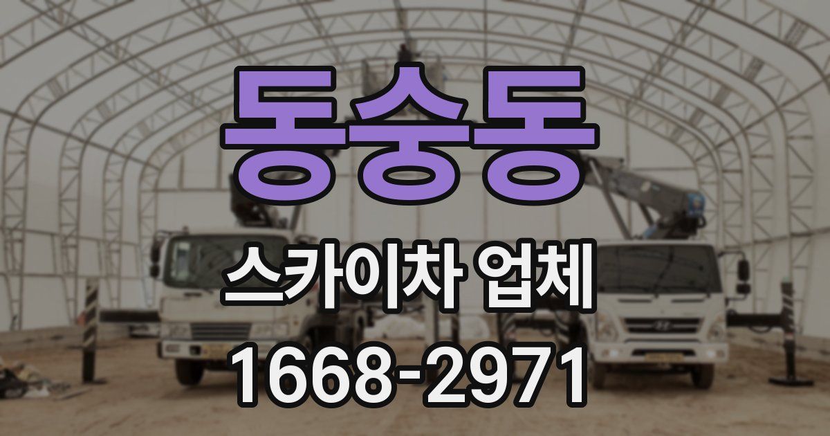 동숭동 스카이차 업체