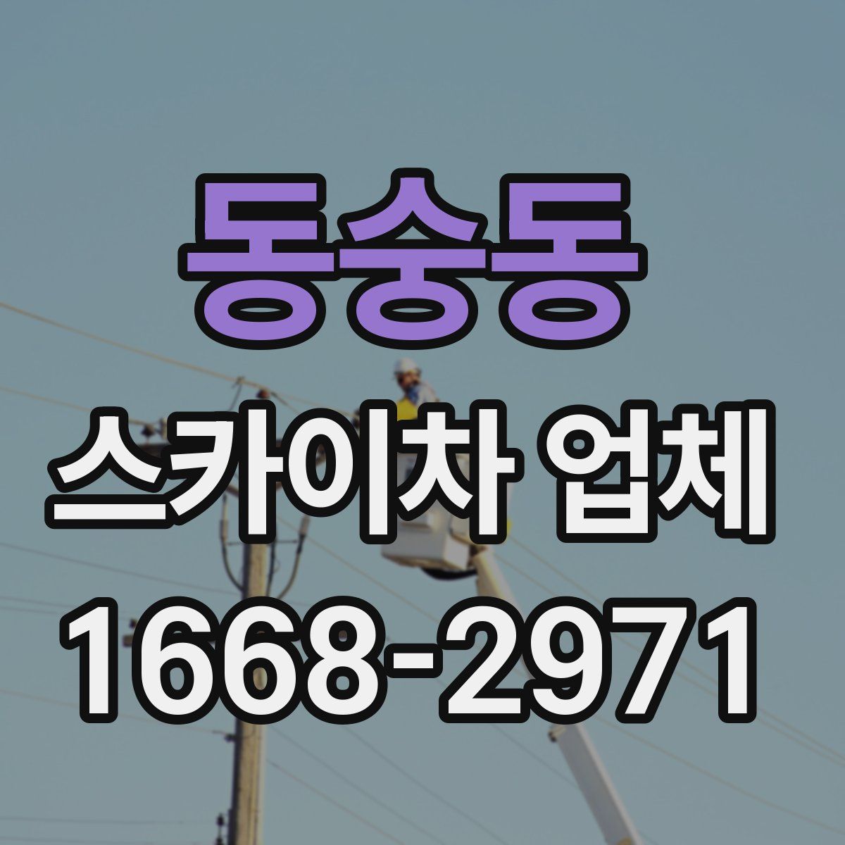 동숭동 스카이차 업체