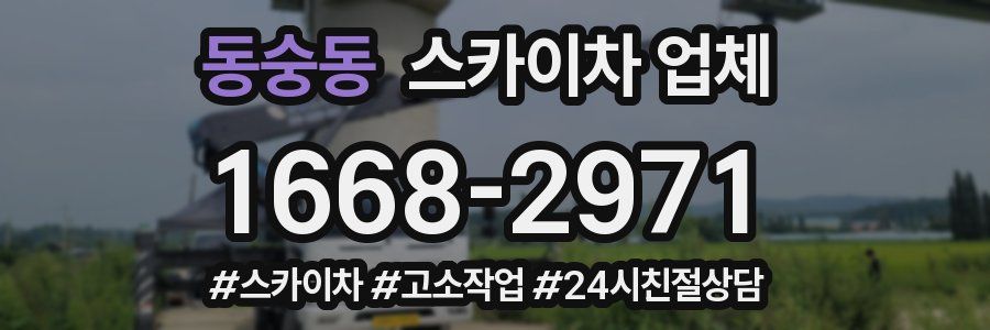 동숭동 스카이차 업체