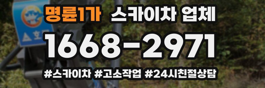 명륜1가 스카이차 업체
