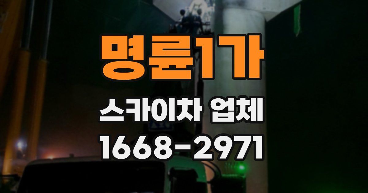 명륜1가 스카이차 업체