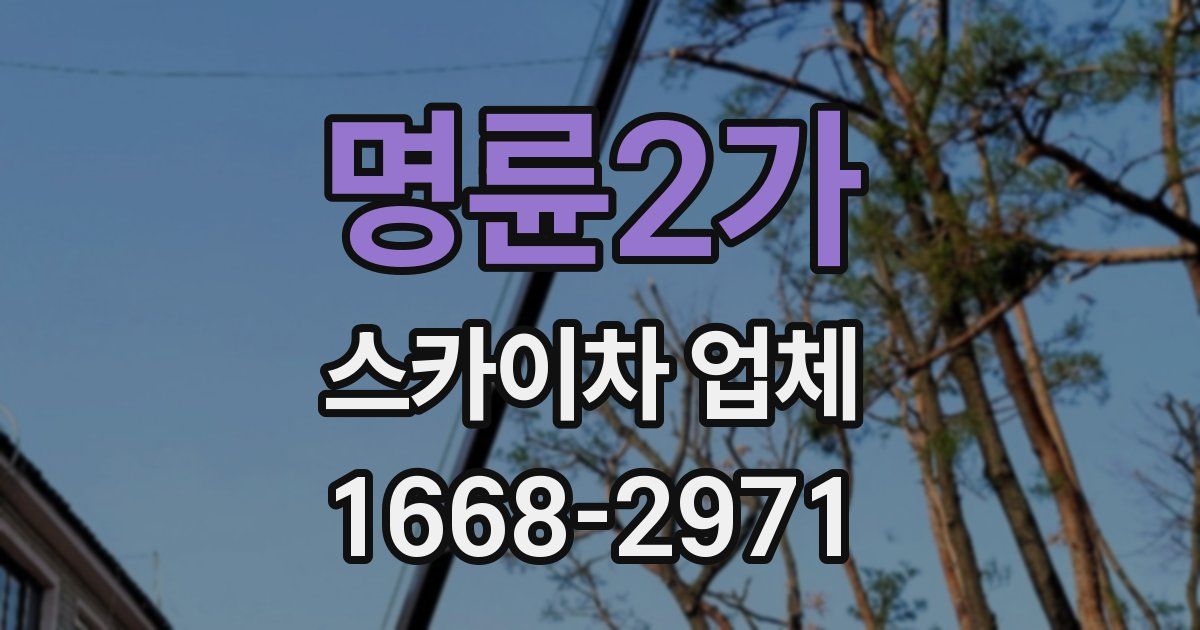 명륜2가 스카이차 업체