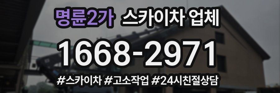 명륜2가 스카이차 업체