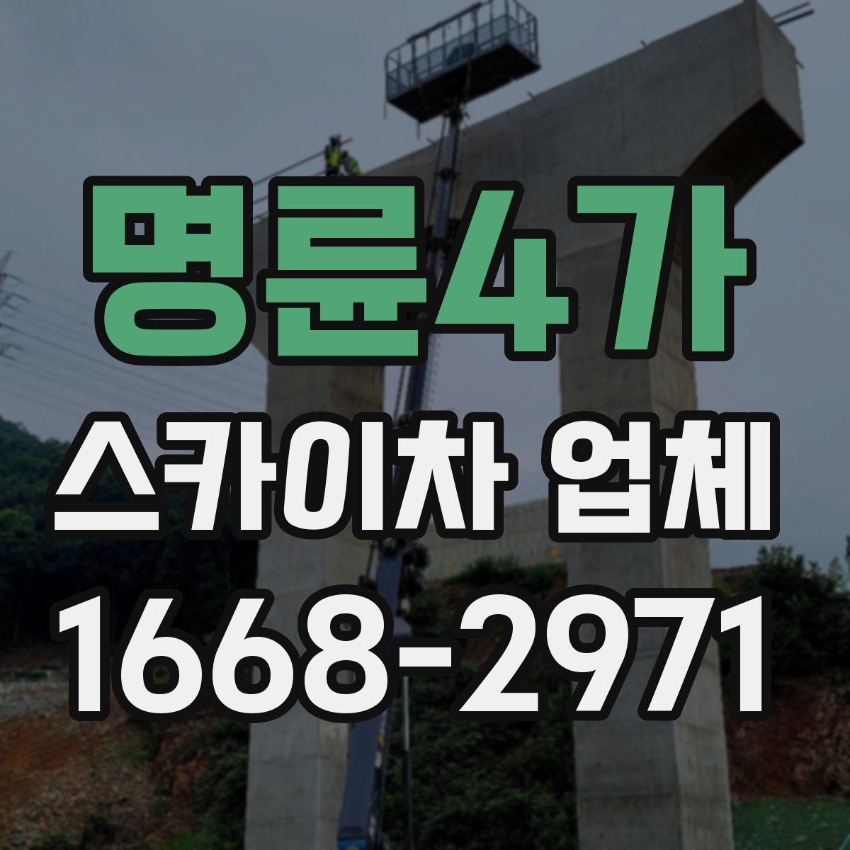 명륜4가 스카이차 업체