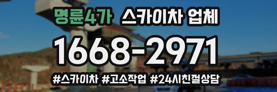 명륜4가 스카이차 업체