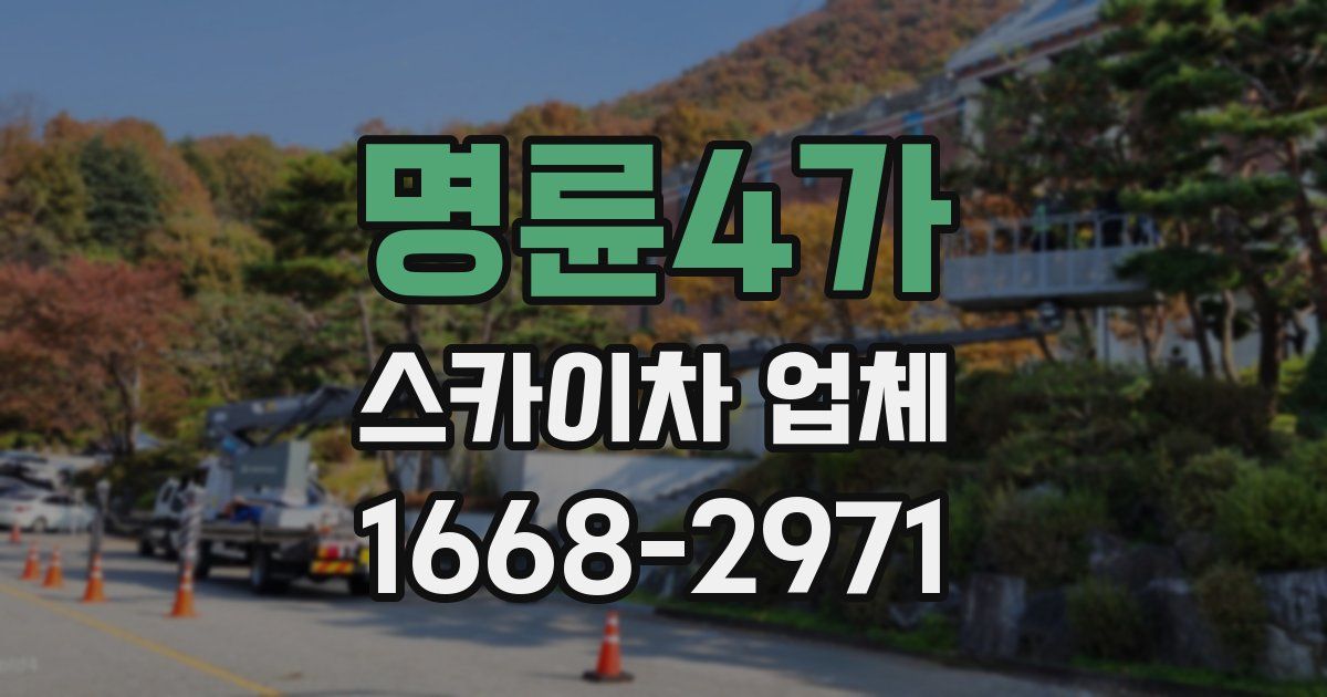 명륜4가 스카이차 업체