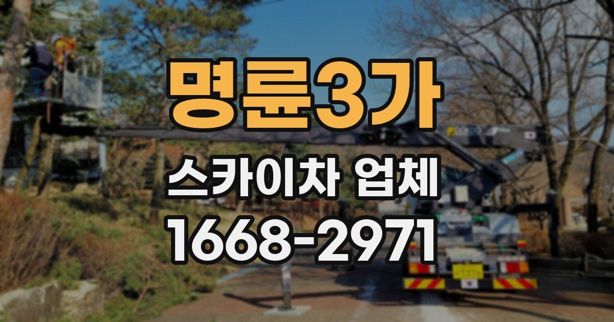 명륜3가 스카이차 업체