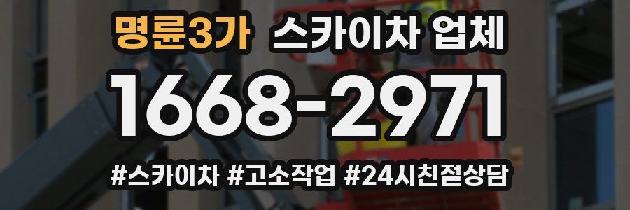 명륜3가 스카이차 업체