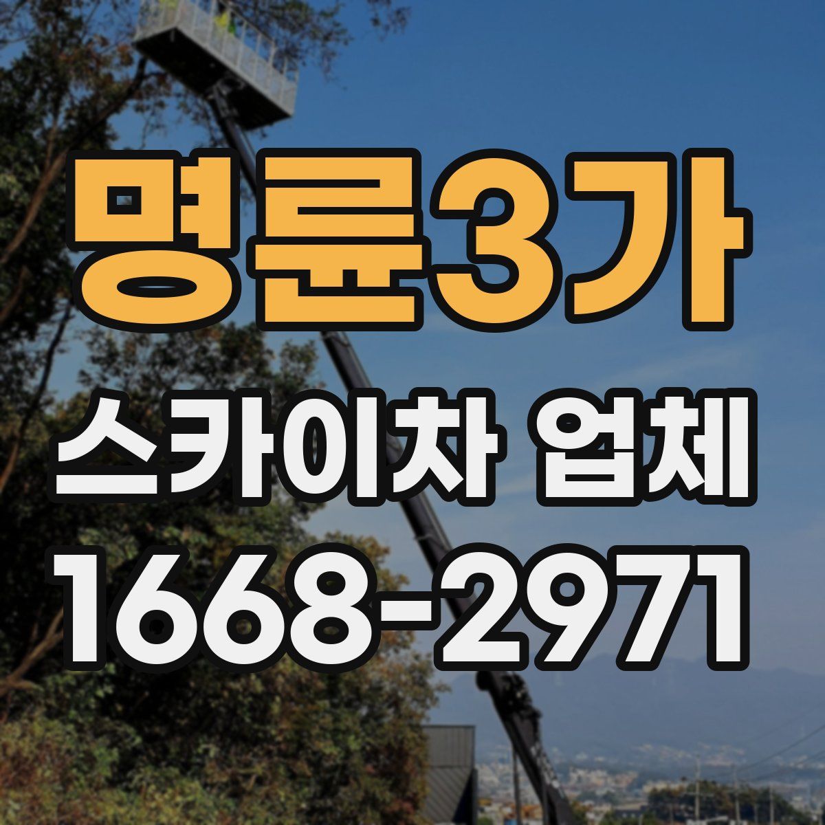 명륜3가 스카이차 업체