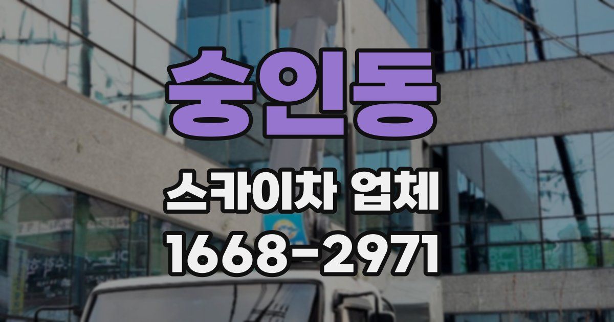 숭인동 스카이차 업체