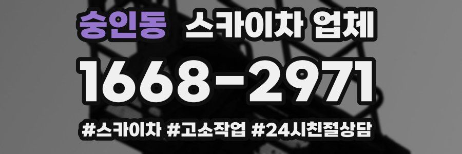 숭인동 스카이차 업체