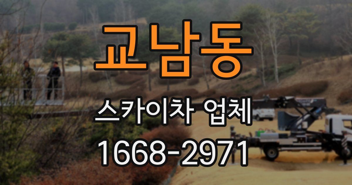 교남동 스카이차 업체