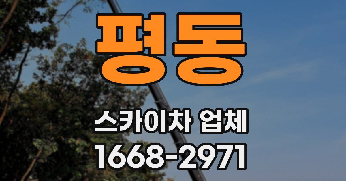 평동 스카이차 업체
