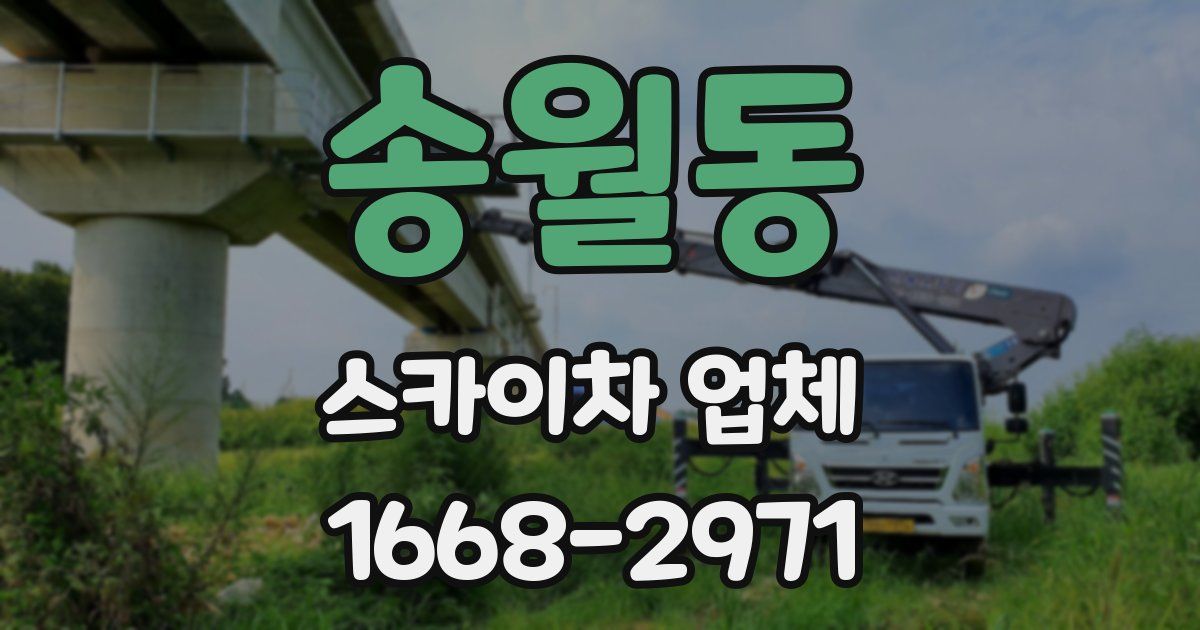 송월동 스카이차 업체