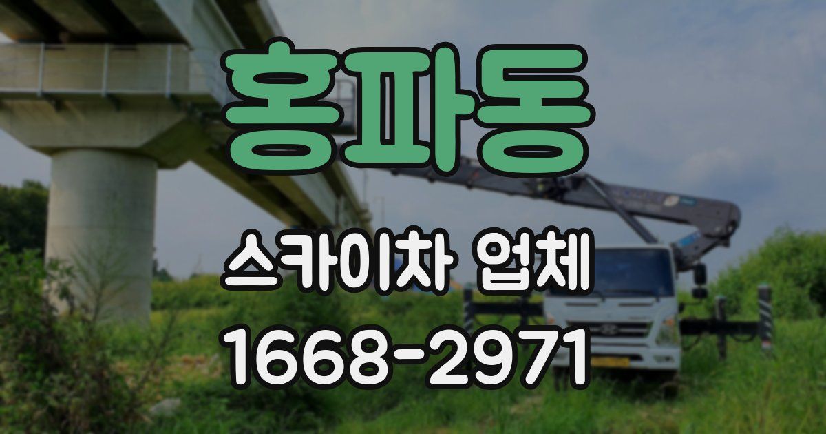 홍파동 스카이차 업체