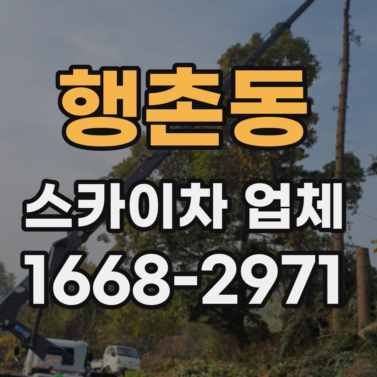 행촌동 스카이차 업체