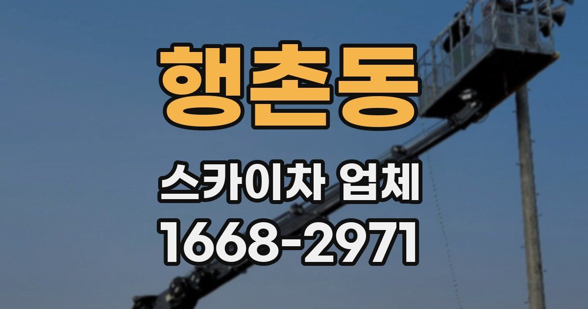 행촌동 스카이차 업체