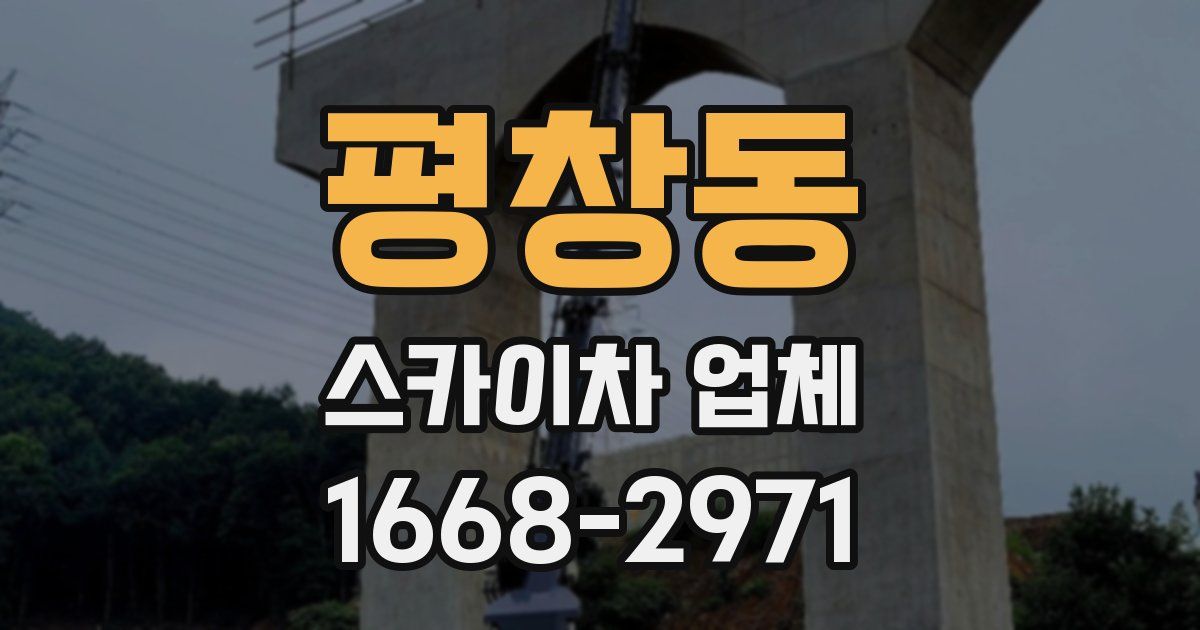 평창동 스카이차 업체