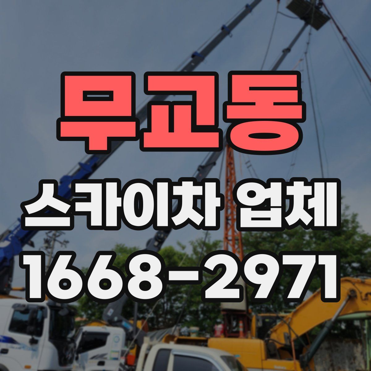 무교동 스카이차 업체