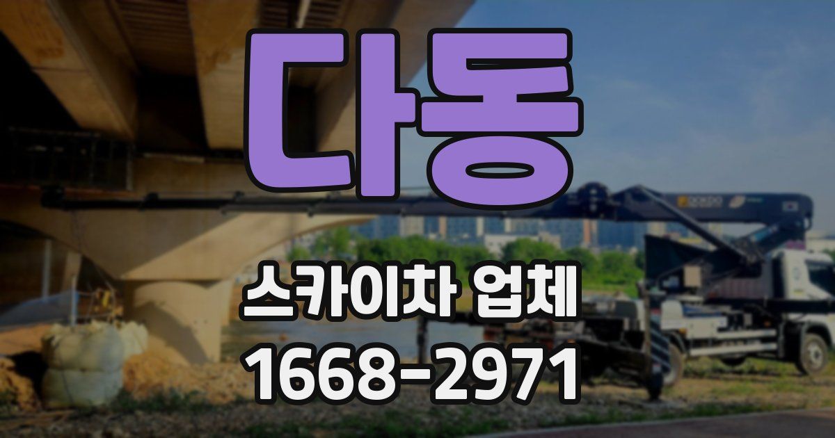 다동 스카이차 업체