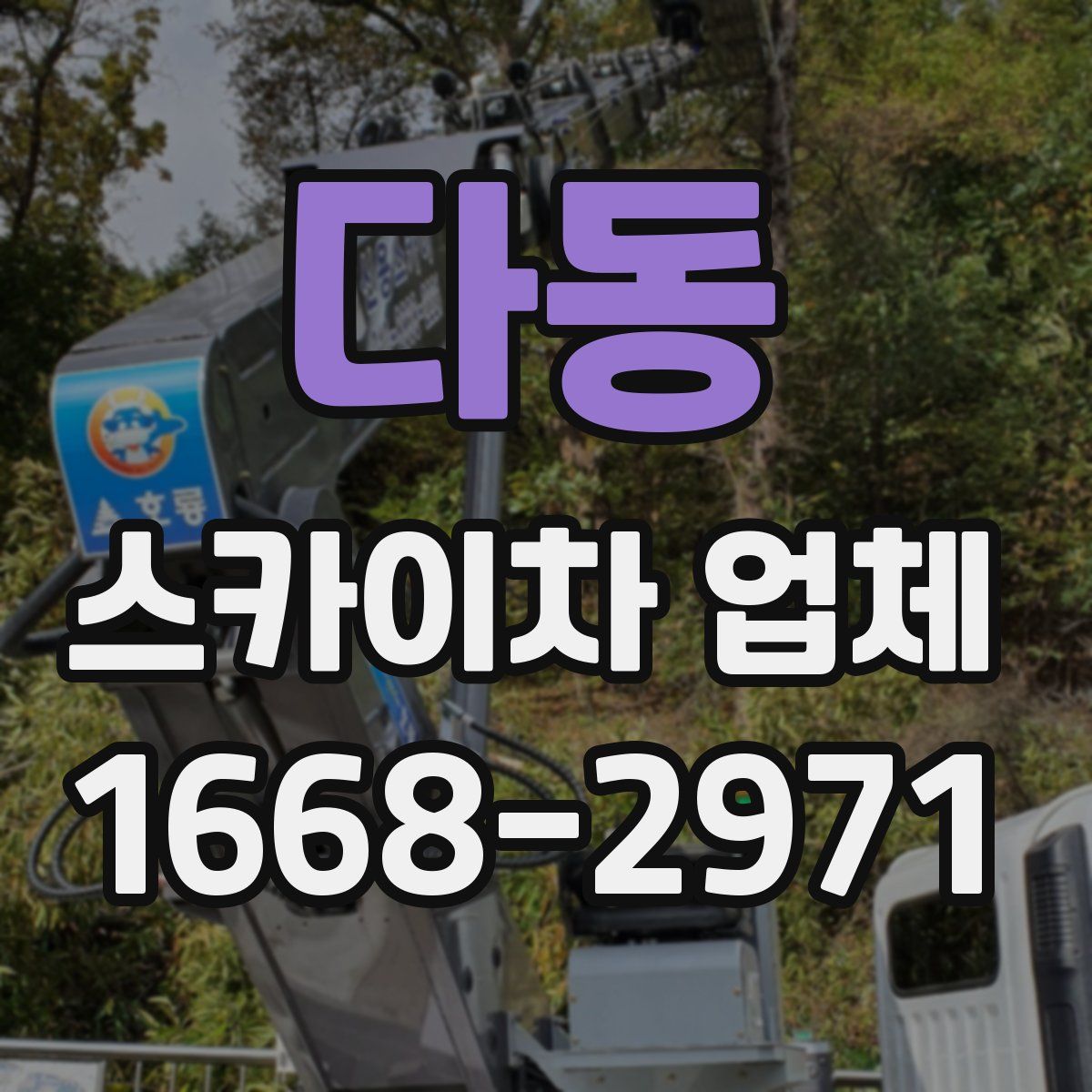 다동 스카이차 업체