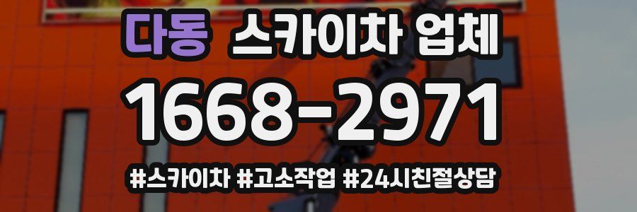 다동 스카이차 업체
