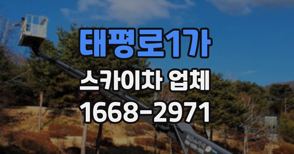 태평로1가 스카이차 업체