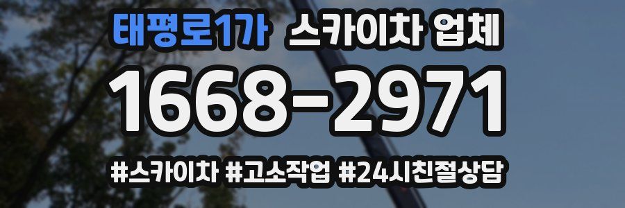 태평로1가 스카이차 업체