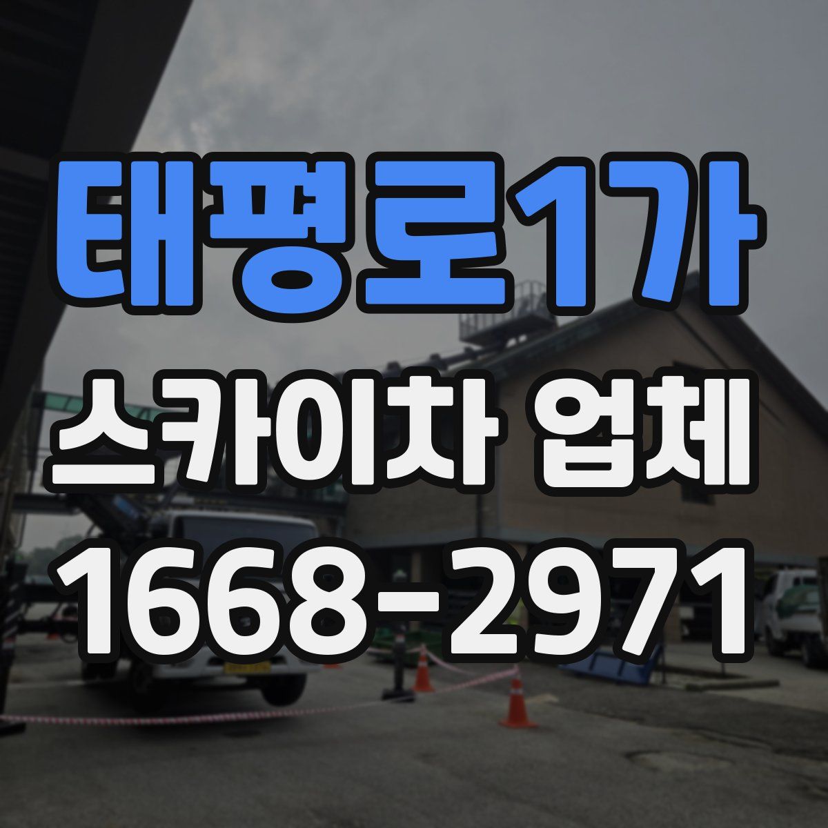 태평로1가 스카이차 업체
