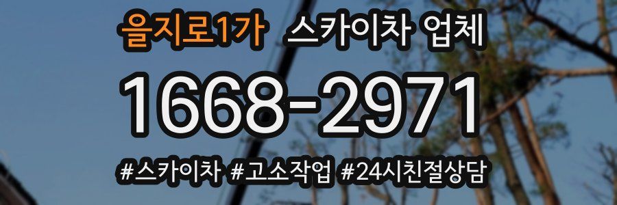 을지로1가 스카이차 업체