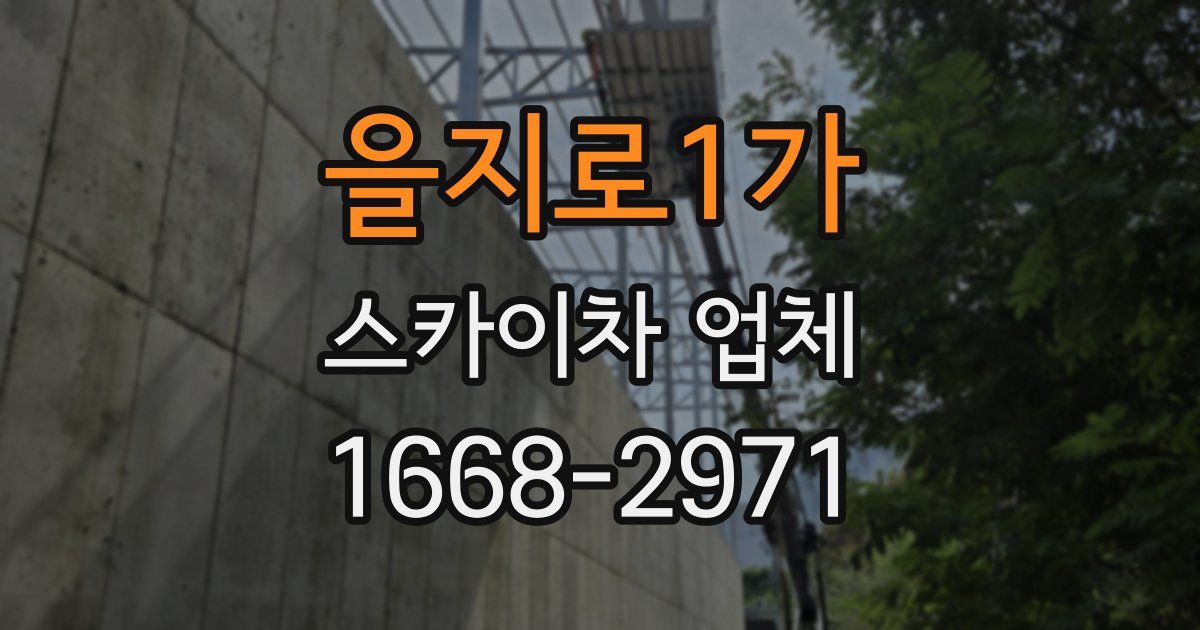 을지로1가 스카이차 업체