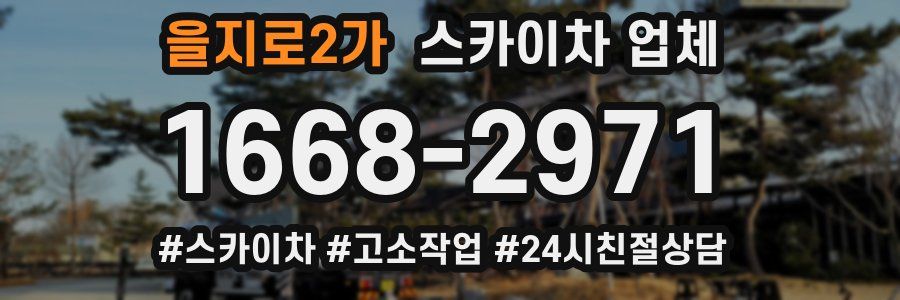 을지로2가 스카이차 업체
