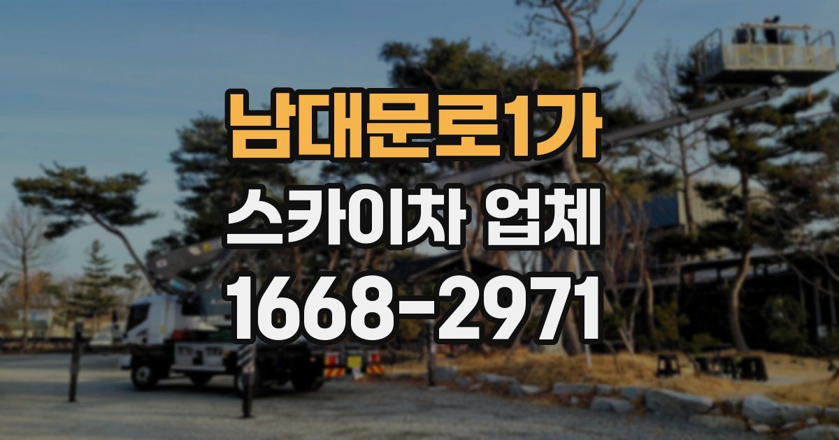 남대문로1가 스카이차 업체