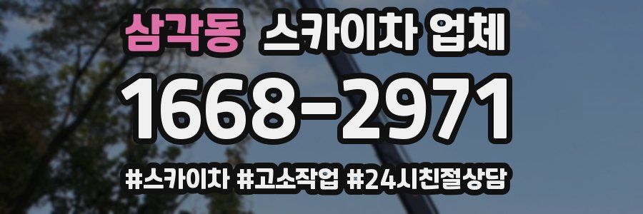 삼각동 스카이차 업체