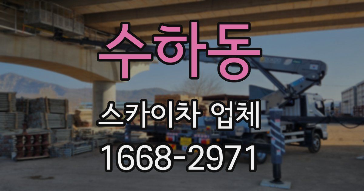 수하동 스카이차 업체