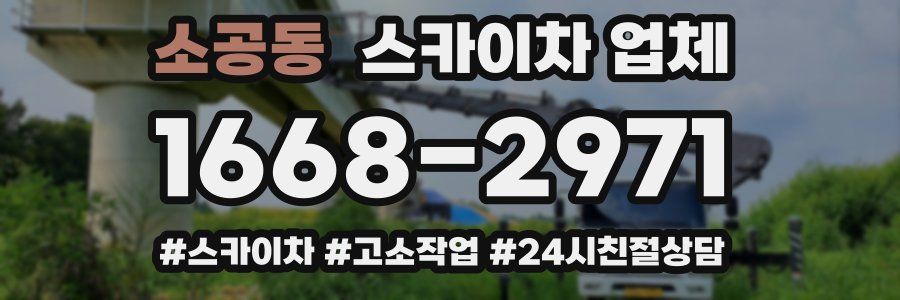 소공동 스카이차 업체