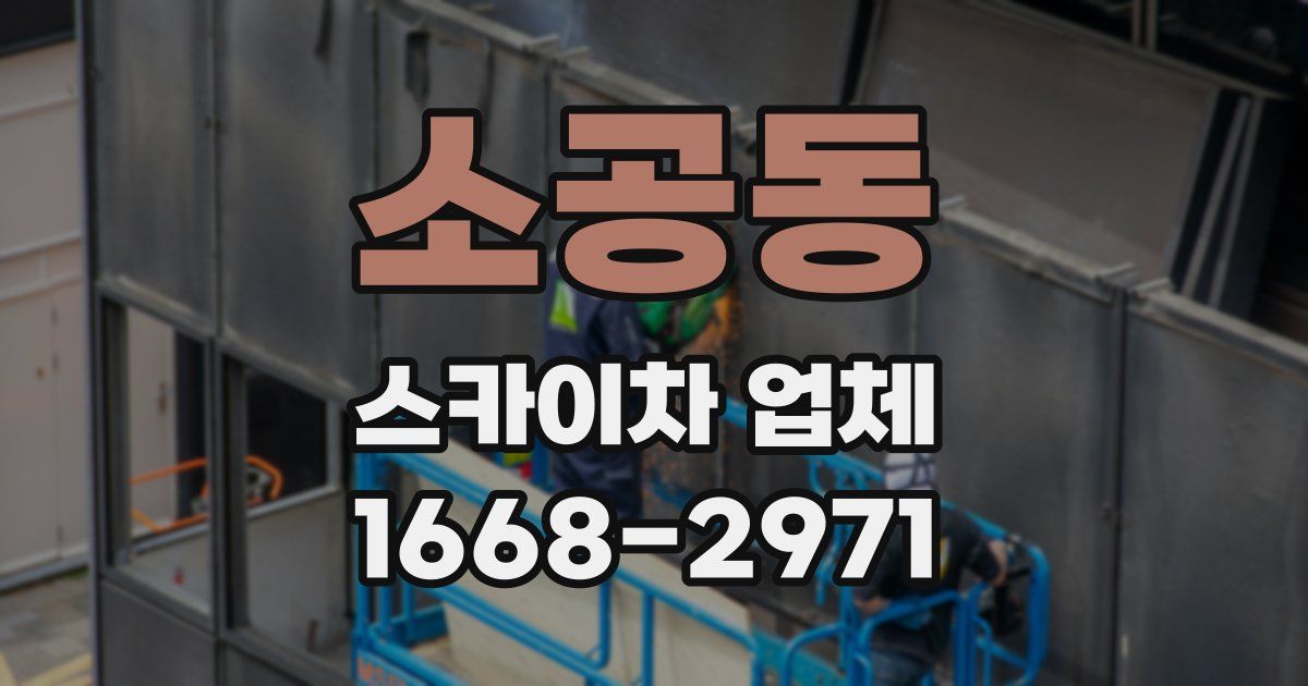 소공동 스카이차 업체