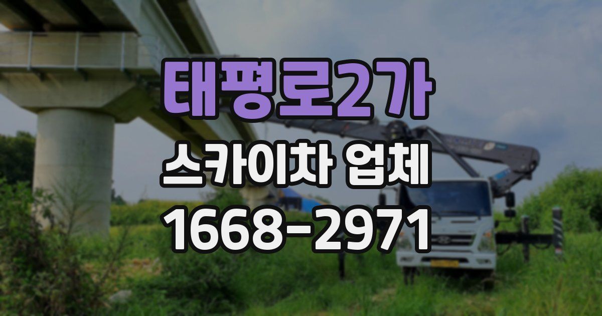 태평로2가 스카이차 업체